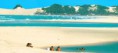 /album/galeria-de-fotos-litoral-nord/praiagenipabu7-jpg/
